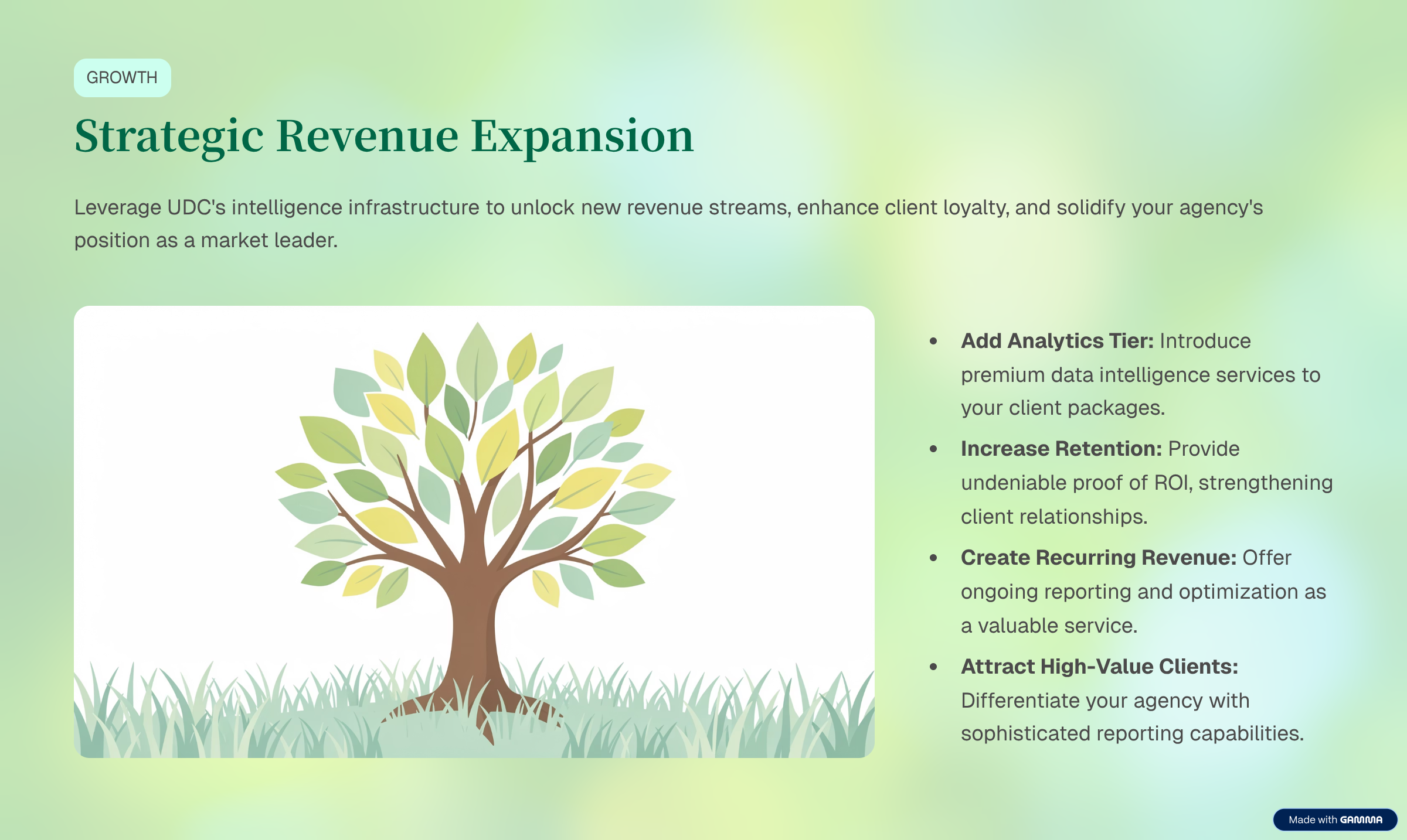 Strategic Revenue Expansion — Analytics tier, retention, recurring revenue, high-value clients